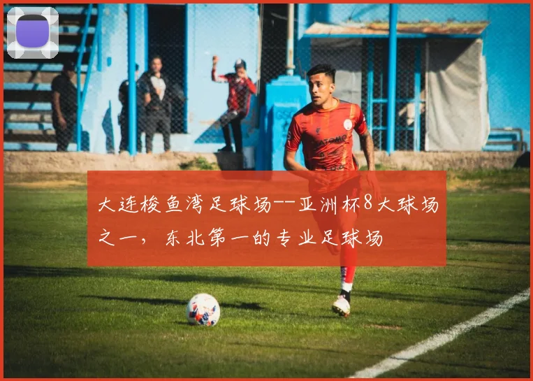 大连梭鱼湾足球场--亚洲杯8大球场之一，东北第一的专业足球场