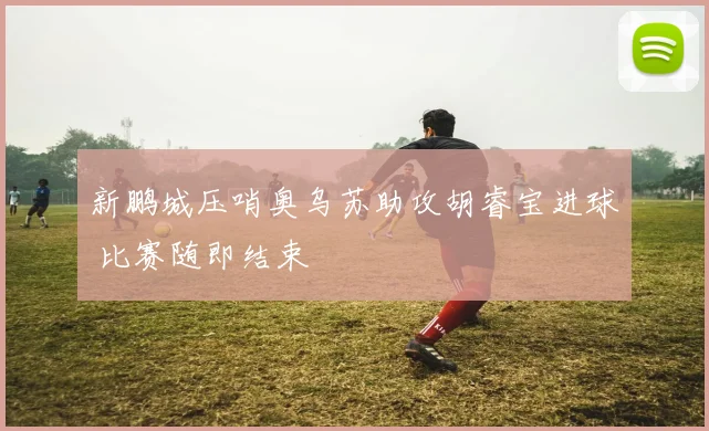 新鹏城压哨奥乌苏助攻胡睿宝进球 比赛随即结束